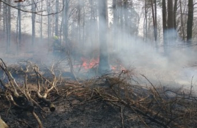 {Leśnictwa podległe Regionalnej Dyrekcji Lasów Państwowych w Olsztynie zaczynają doroczną akcję przeciwpożarową. Zanotowano także pierwszy wiosenny pożar ściółki.}